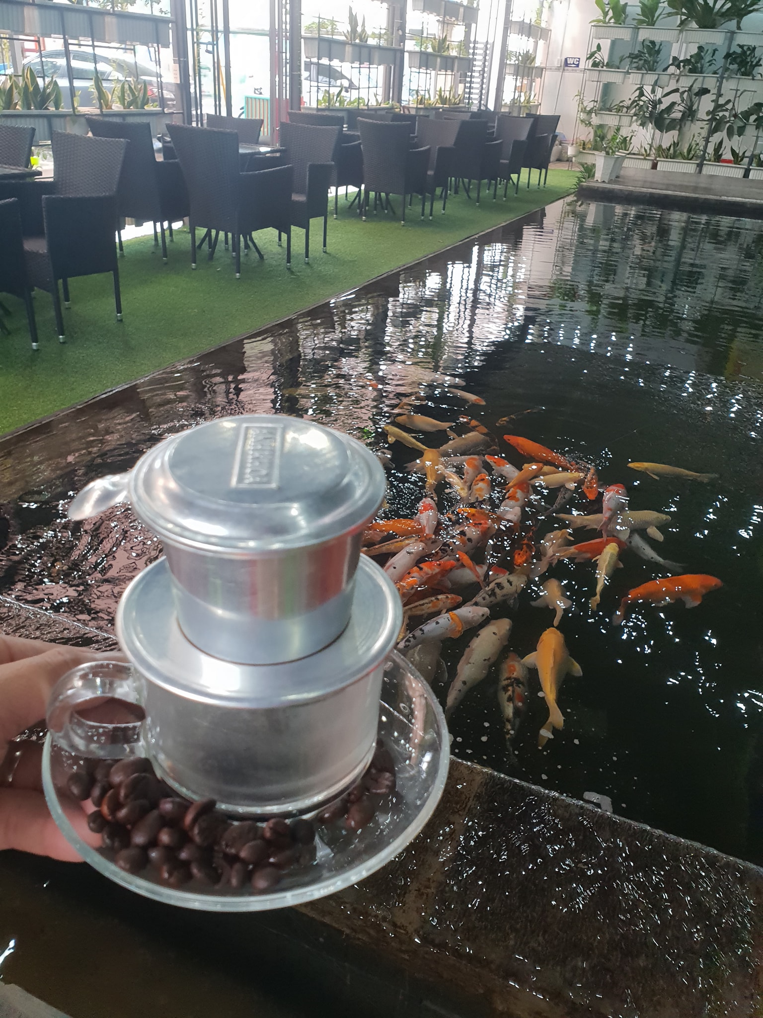 Café Niceland Koi