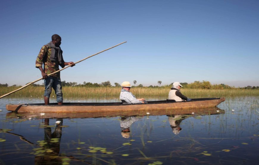 CAMPING 5 JOURS AU BOTSWANA – SAFARI SUR LA PISTE DES ZEBRES