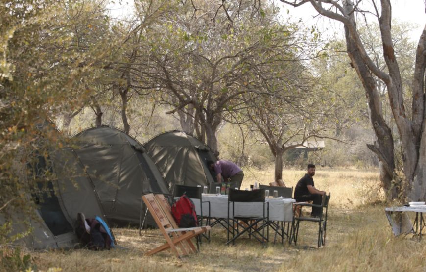 10 JOURS DE CAMPING AU BOTSWANA – SAFARI SUR LA SENTIER DES ÉLÉPHANTS