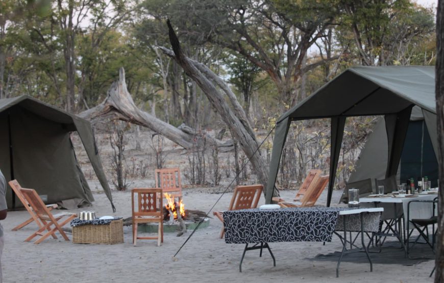 CAMPING 5 JOURS AU BOTSWANA – SAFARI SUR LA PISTE DES ZEBRES