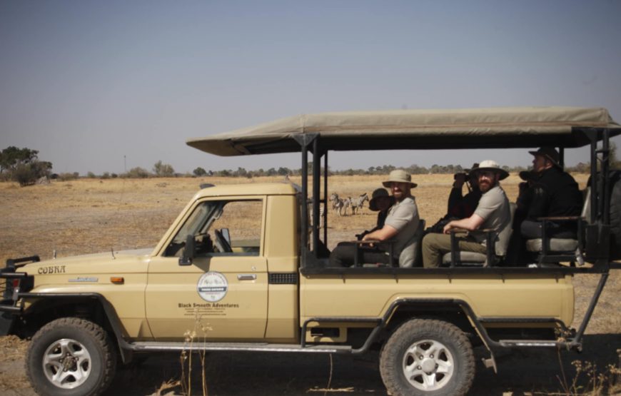 CAMPING 5 JOURS AU BOTSWANA – SAFARI SUR LA PISTE DES ZEBRES