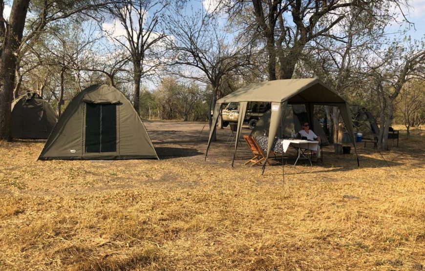 CAMPING 5 JOURS AU BOTSWANA – SAFARI SUR LA PISTE DES ZEBRES