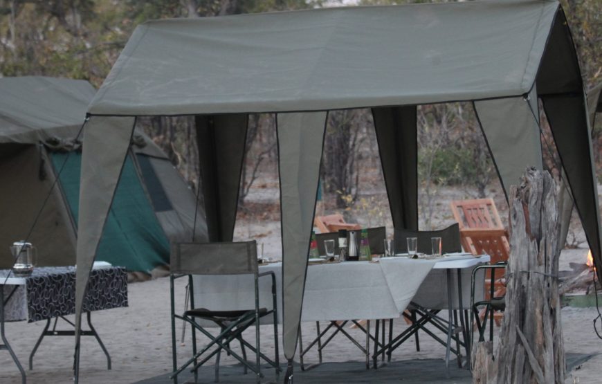 CAMPING 8 JOURS AU BOTSWANA – SAFARI SUR LA PISTE DU LION