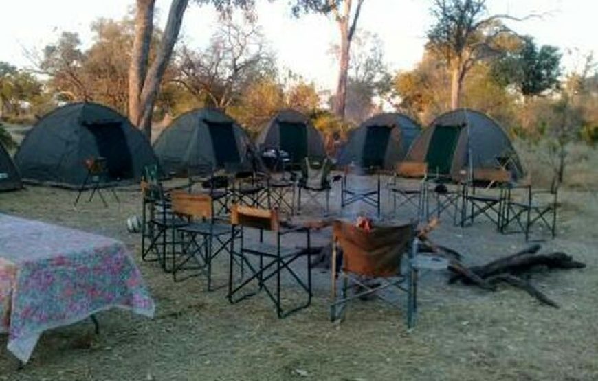 CAMPING 5 JOURS AU BOTSWANA – SAFARI SUR LA PISTE DES ZEBRES