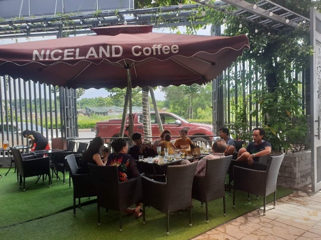 Café Niceland Koi