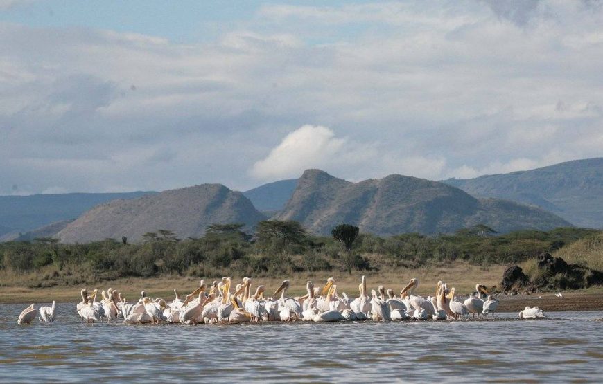 Marathon Kenya Safaris