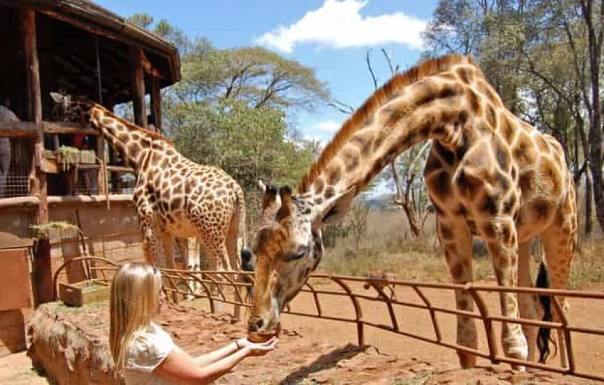 Marathon Kenya Safaris