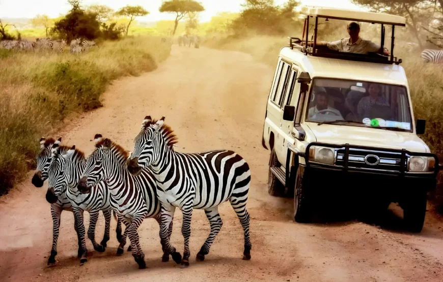 VISITE DE GROUPE DU PARC NATIONAL REINE ELIZABETH DE 3 JOURS.(QUEEN ELIZABETH NATIONAL PARK)