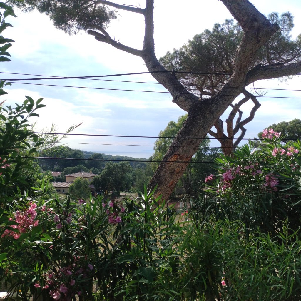 Villa le M à Six-Fours-les-Plages