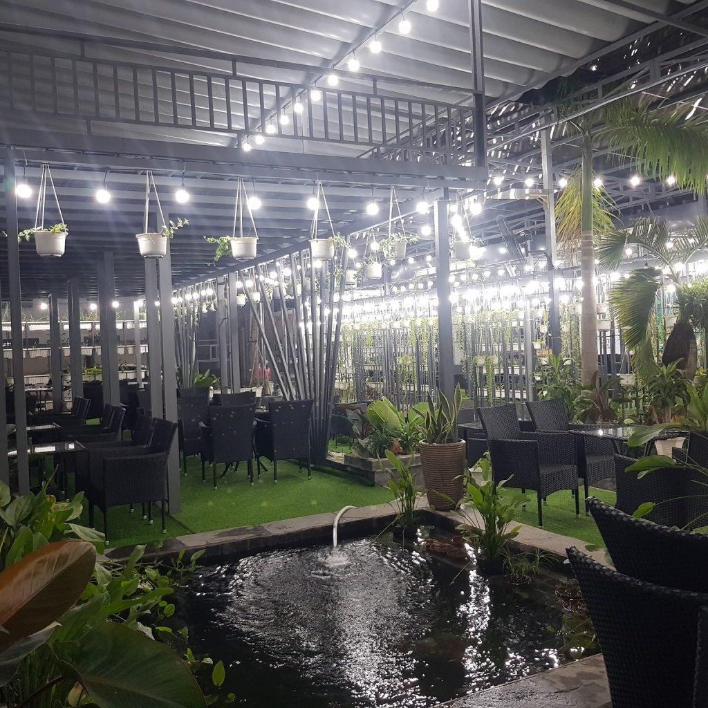 Café Niceland Koi