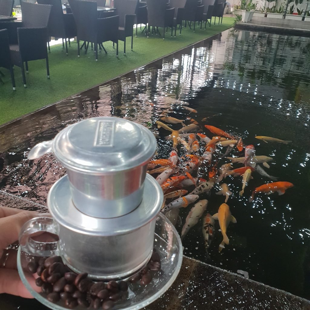 Café Niceland Koi