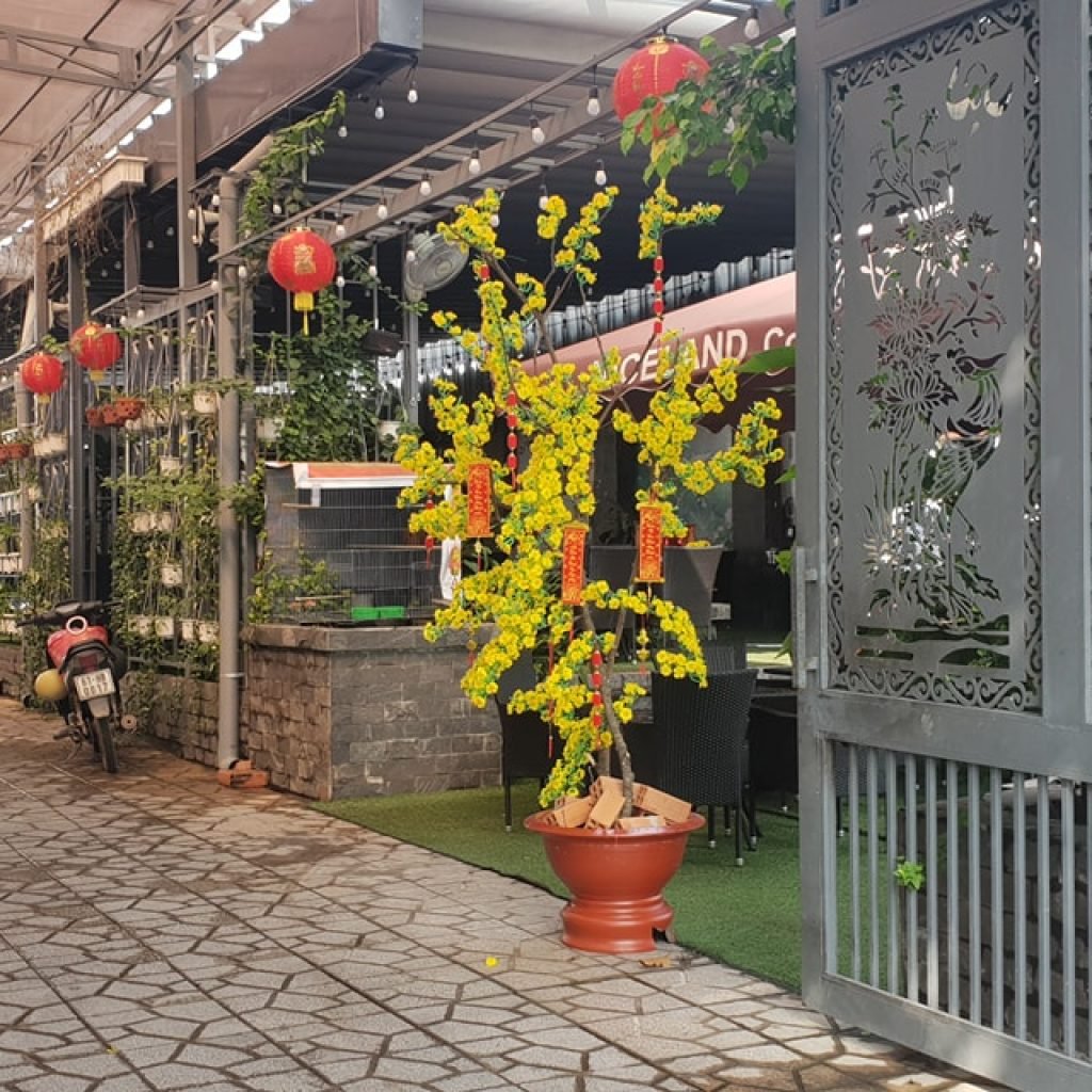 Café Niceland Koi