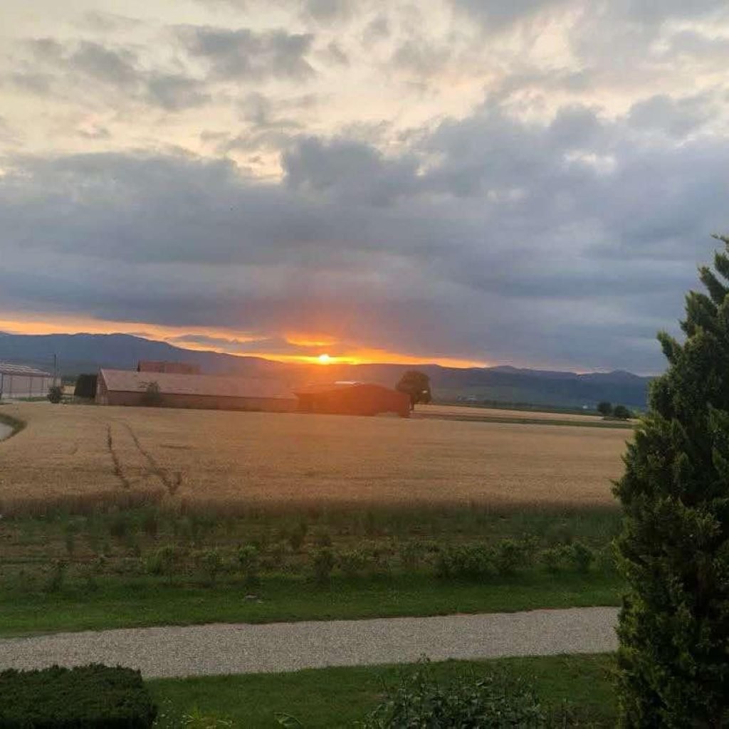 Gîte BRETZEL avec vue sur le coucher du soleil – à Munwiller en Alsace