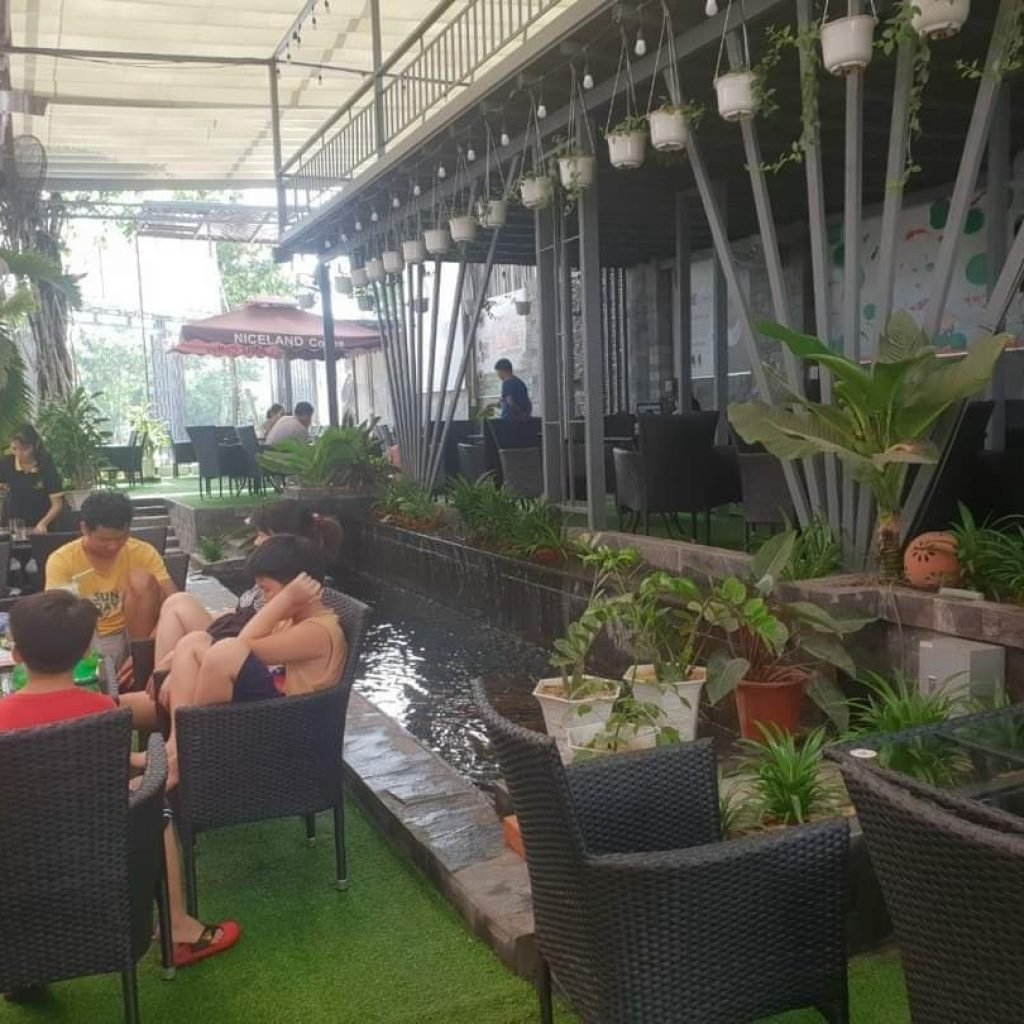 Café Niceland Koi