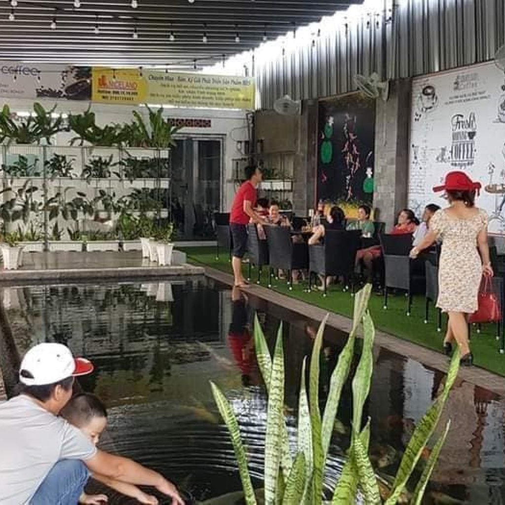 Café Niceland Koi