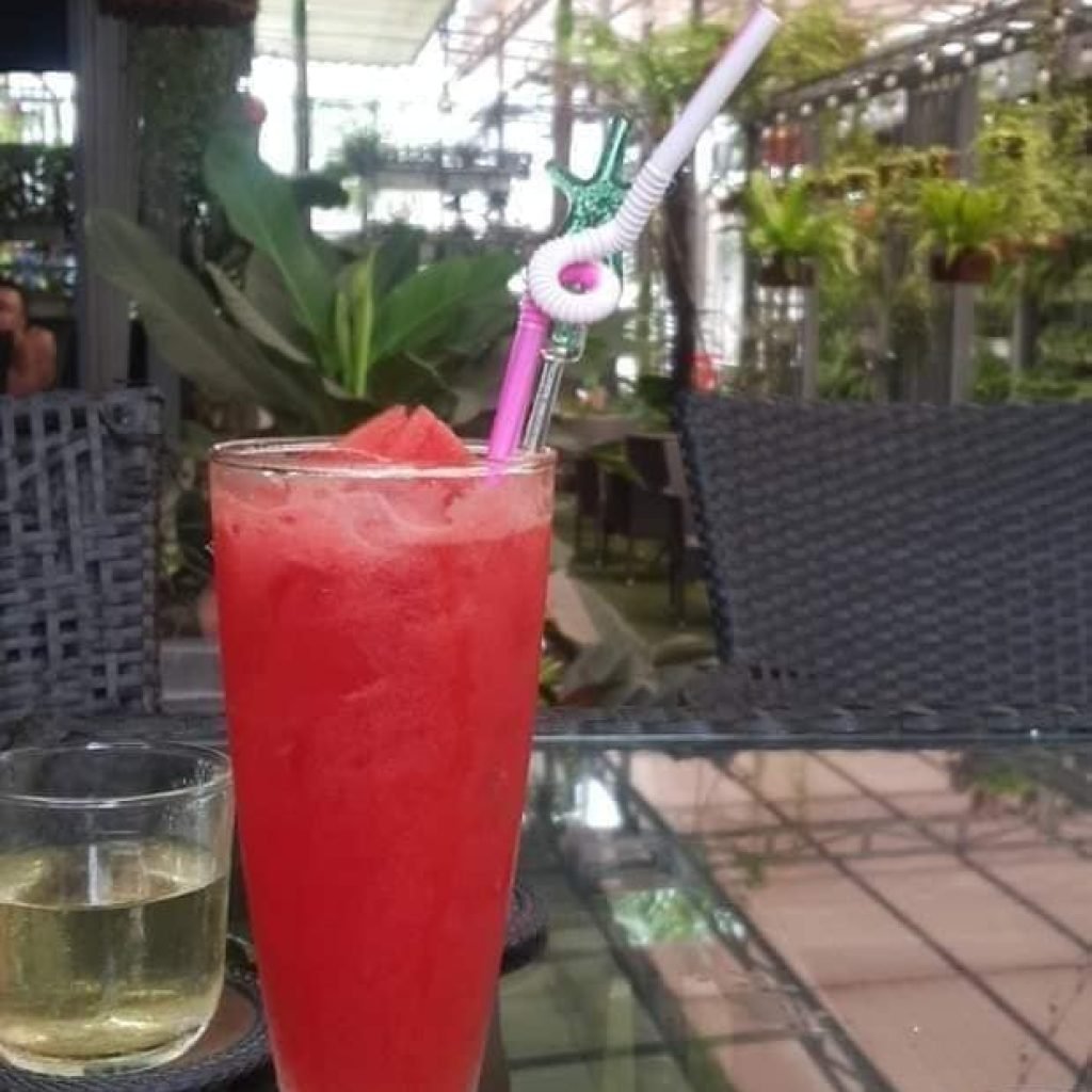 Café Niceland Koi