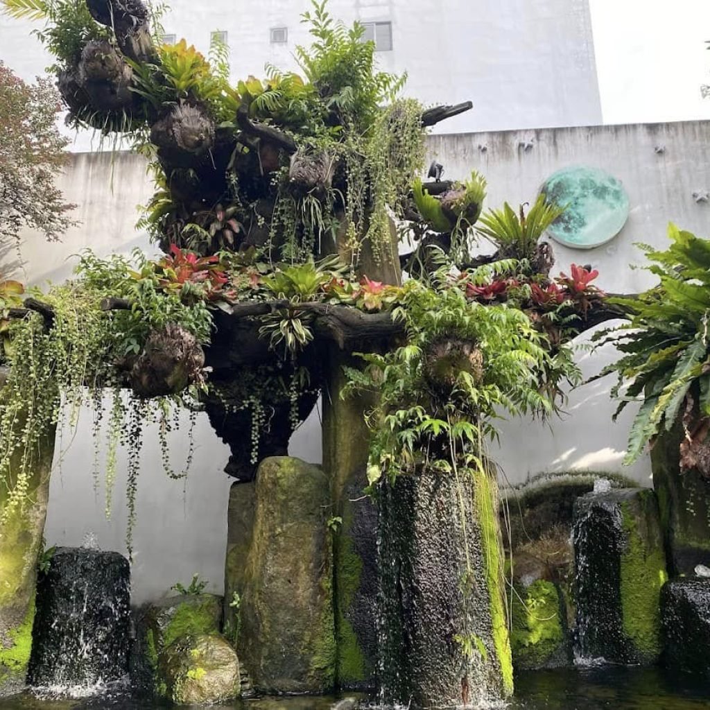 Café du jardin Tokoi