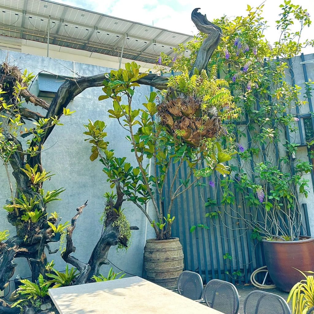 Café du jardin Tokoi