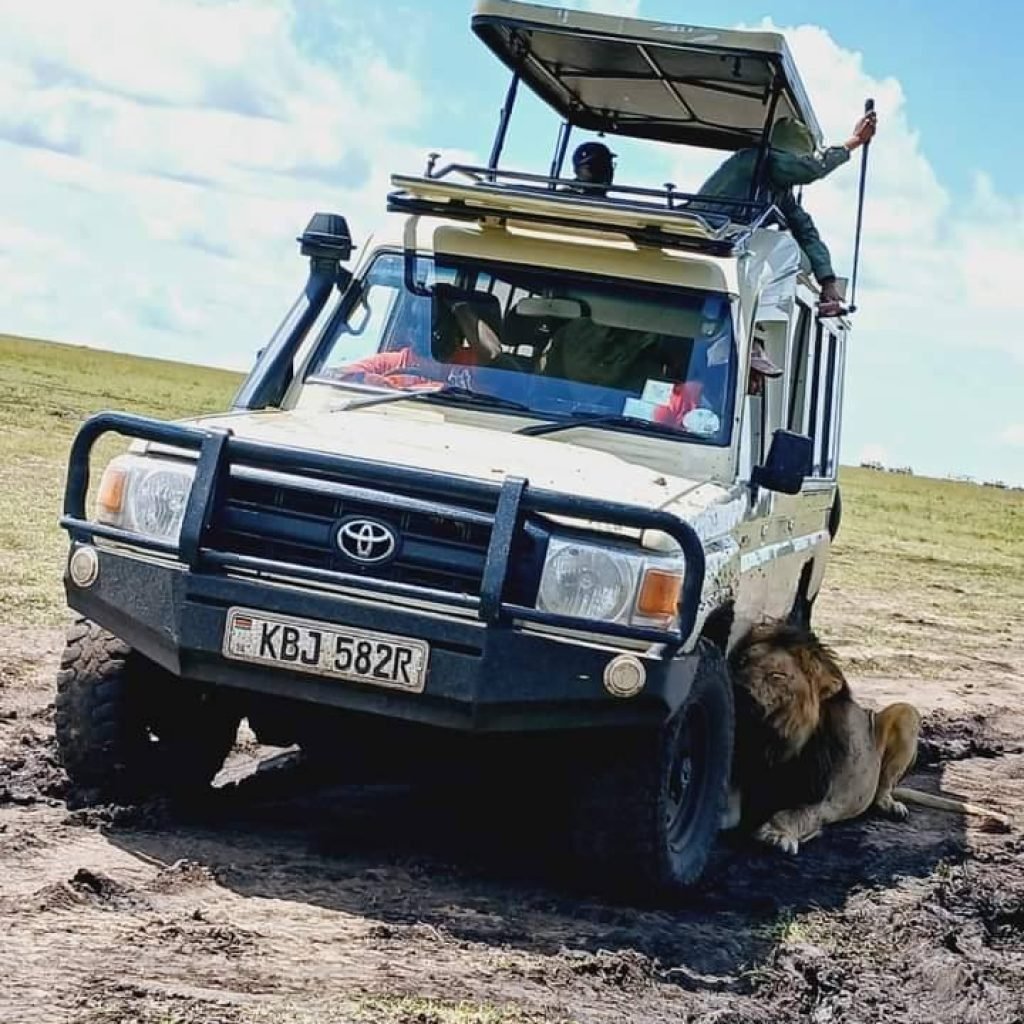 Marathon Kenya Safaris