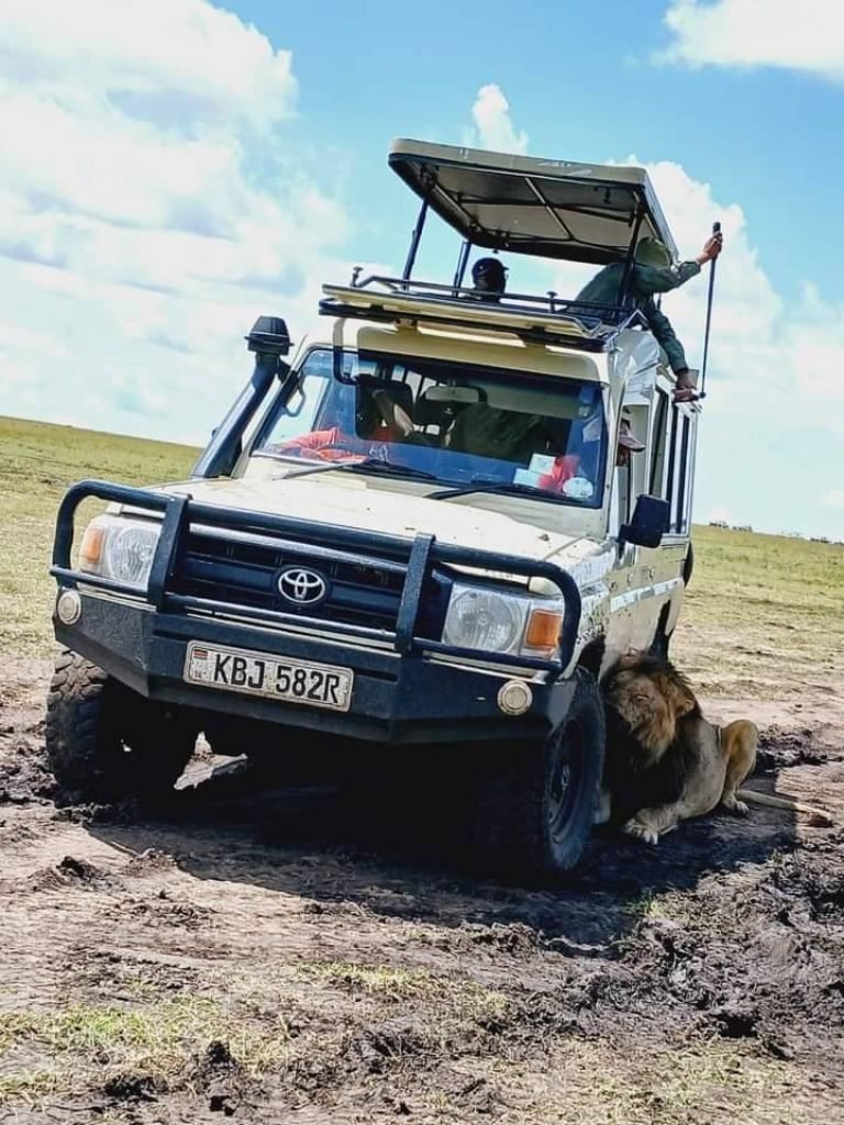 Marathon Kenya Safaris