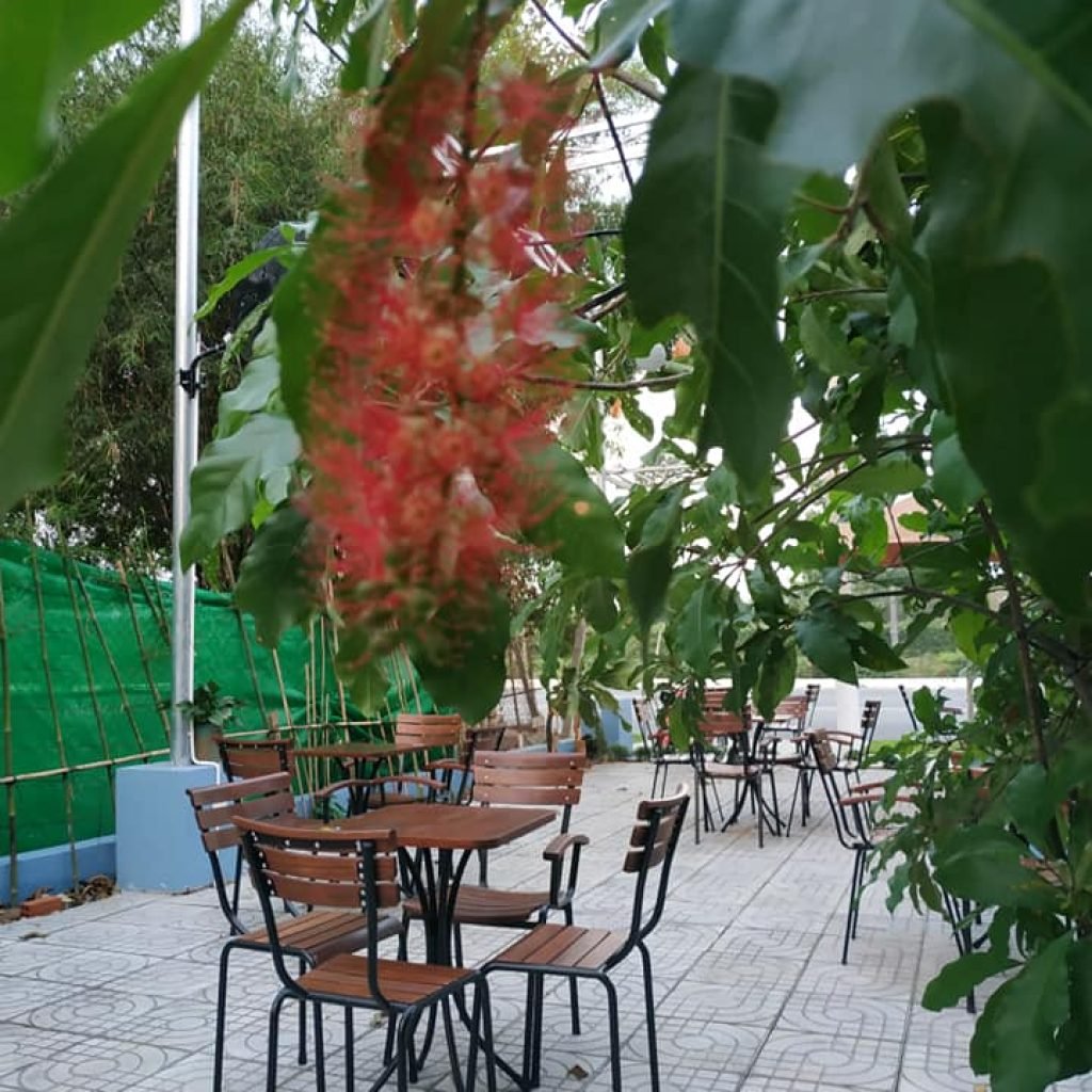 Café NAU Cá Koi