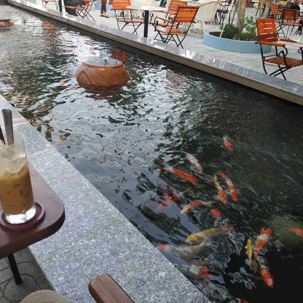 Café NAU Cá Koi