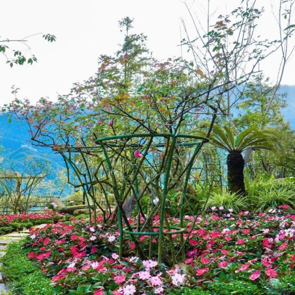 Sapa Highland Resort & Spa