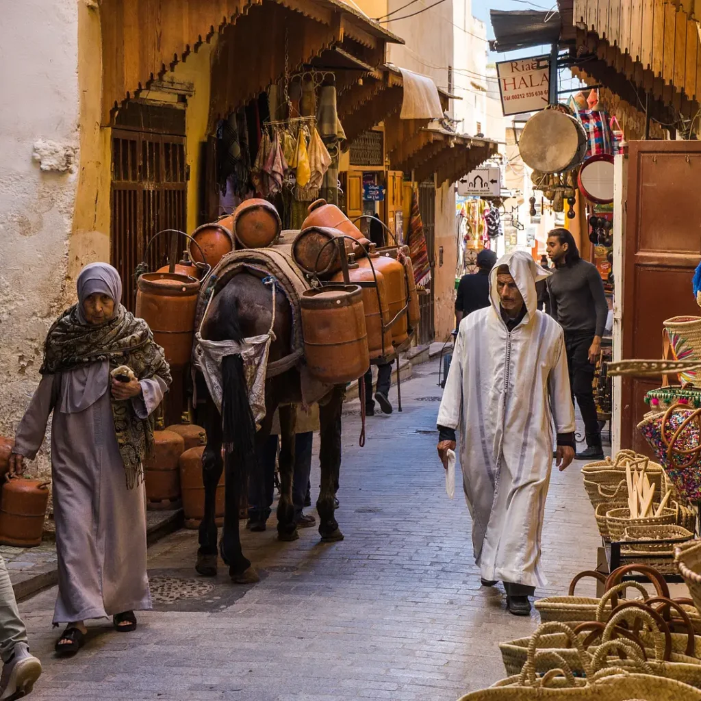 Chemins croisés : excursion de 4 jours de Marrakech à Fès