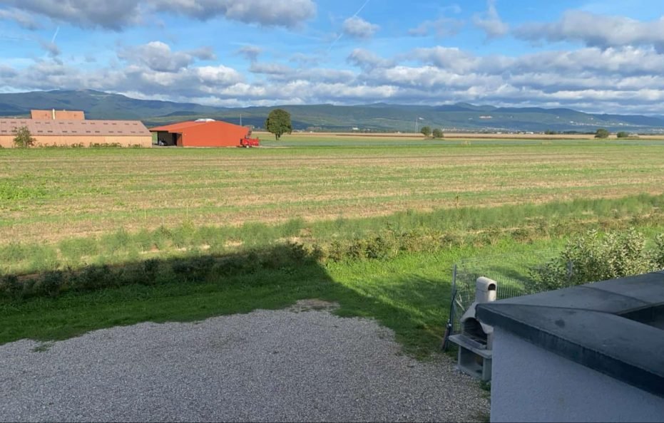 Gîte CIGOGNE avec vue sur le coucher du soleil – à Munwiller en Alsace