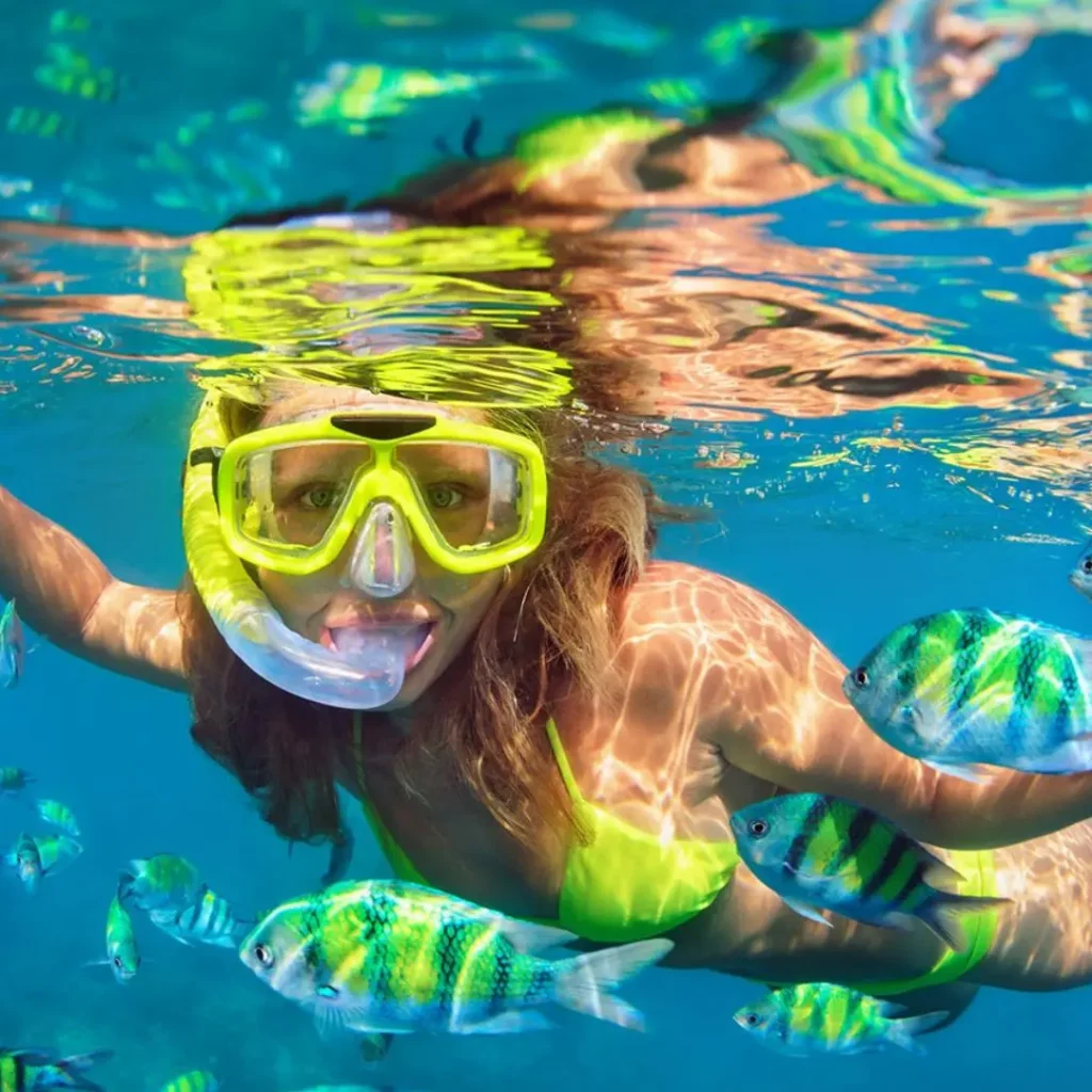 Phuket : une journée  maya bay/don phi phi Kay Island   snorkeling + transfert hotel + buffet repas