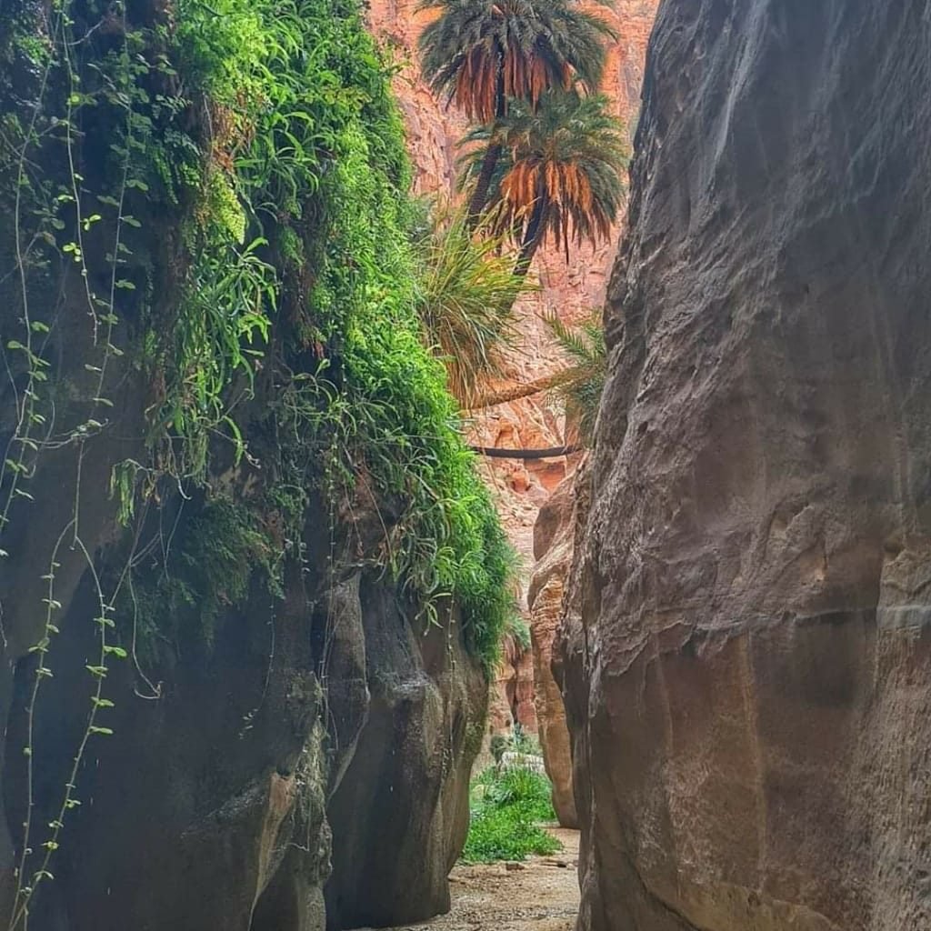 Excursion La Terre de légende en Jordanie