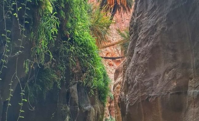 Excursion La Terre de légende en Jordanie