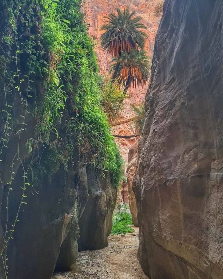 Excursion La Terre de légende en Jordanie