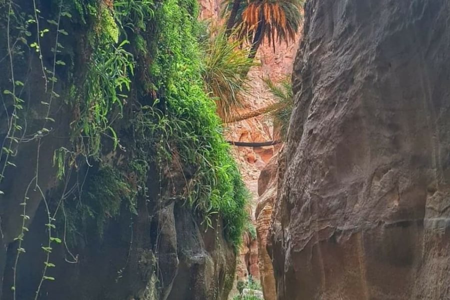 Excursion La Terre de légende en Jordanie