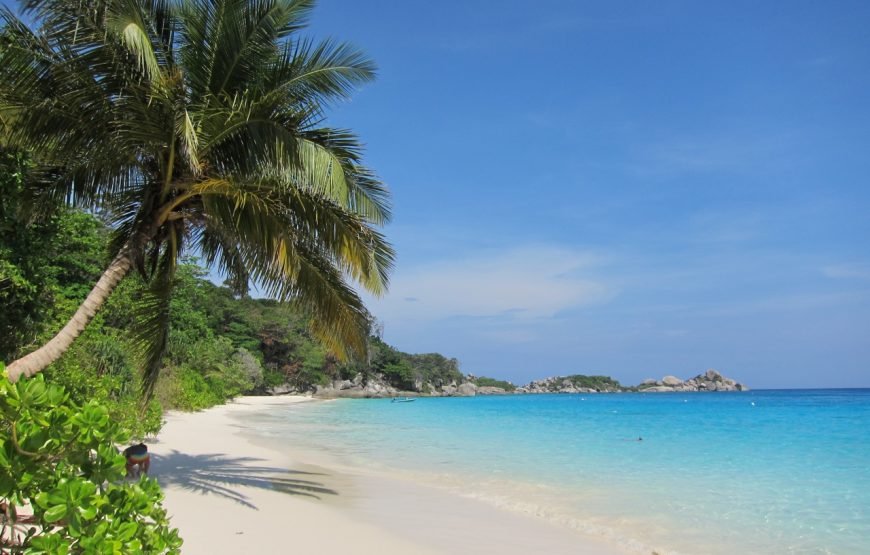 depuis Phuket 1 JOUR – ÎLES SIMILAN (4 ÎLES) TRANSFERT REPAS ASSURRANCE INCLUS