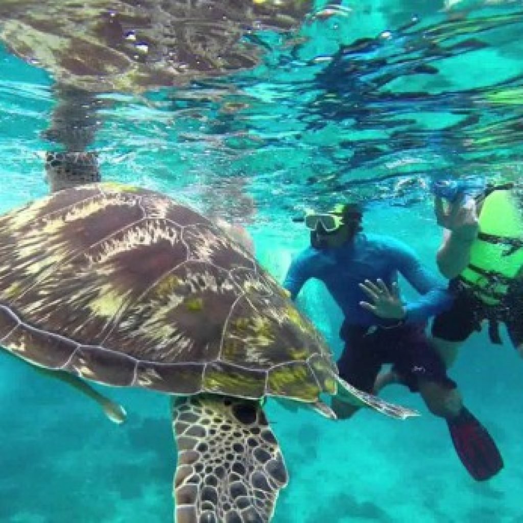 depuis Phuket 1 JOUR – ÎLES SIMILAN (4 ÎLES) TRANSFERT REPAS ASSURRANCE INCLUS