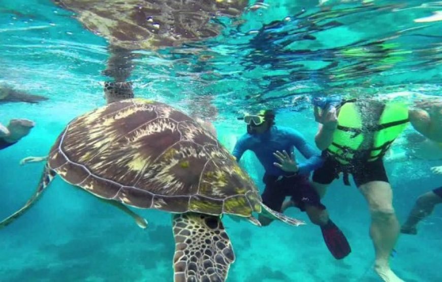 depuis Phuket 1 JOUR – ÎLES SIMILAN (4 ÎLES) TRANSFERT REPAS ASSURRANCE INCLUS