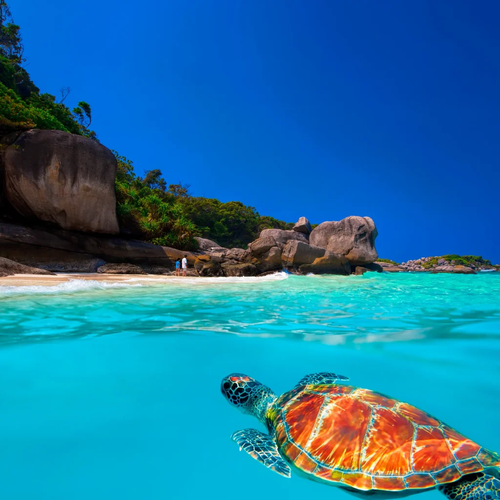 depuis Phuket 1 JOUR – ÎLES SIMILAN (4 ÎLES) TRANSFERT REPAS ASSURRANCE INCLUS