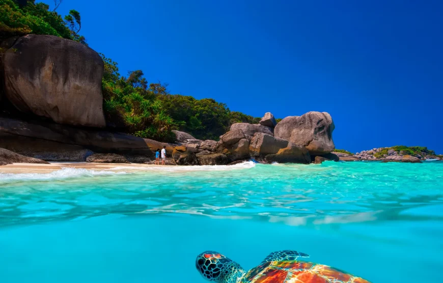 depuis Phuket 1 JOUR – ÎLES SIMILAN (4 ÎLES) TRANSFERT REPAS ASSURRANCE INCLUS