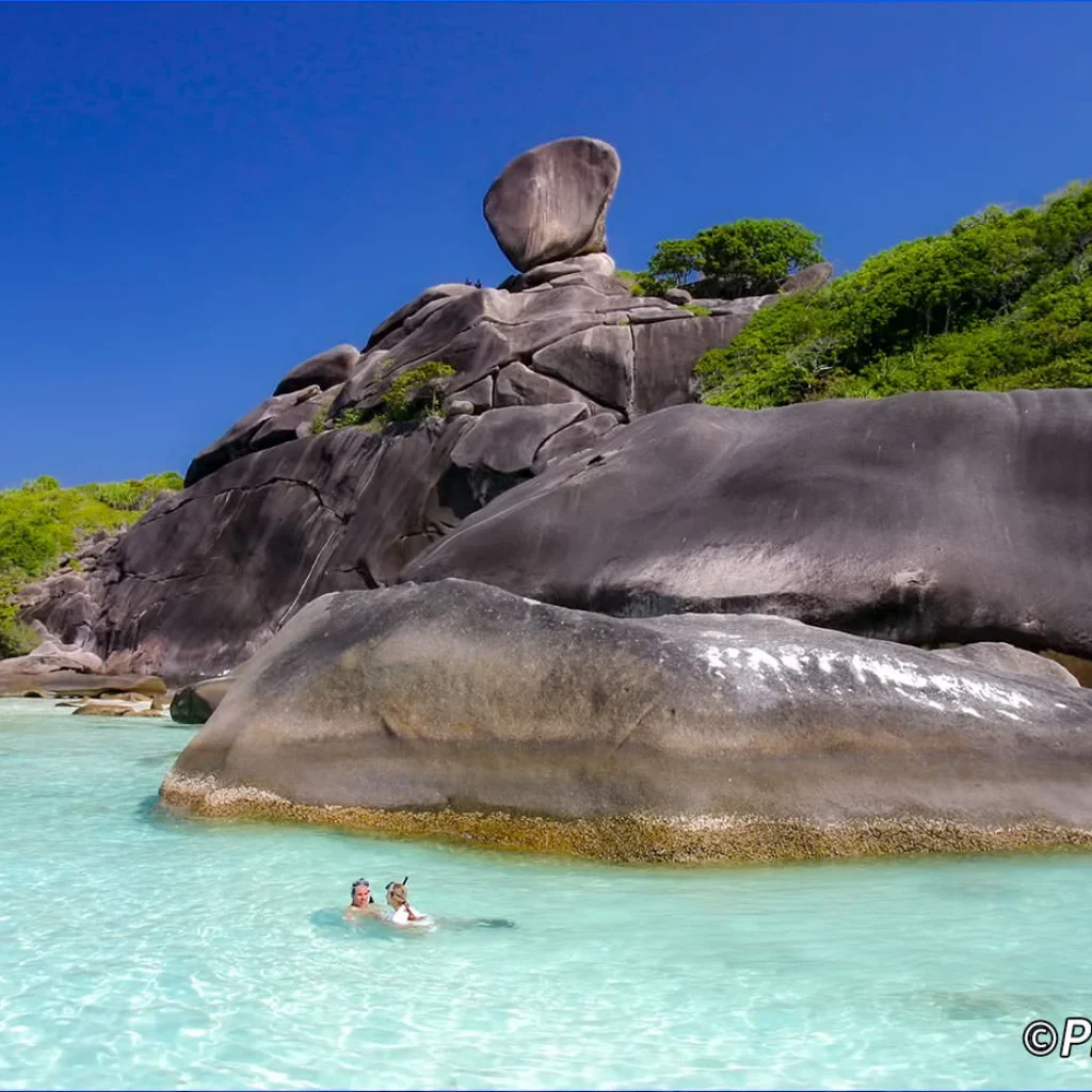 depuis Phuket 1 JOUR – ÎLES SIMILAN (4 ÎLES) TRANSFERT REPAS ASSURRANCE INCLUS