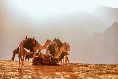 Randonnée en Jordanie 11 jours/ entre amis