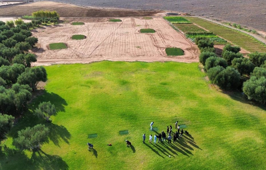 Domaine Lamrah – Villa Solana