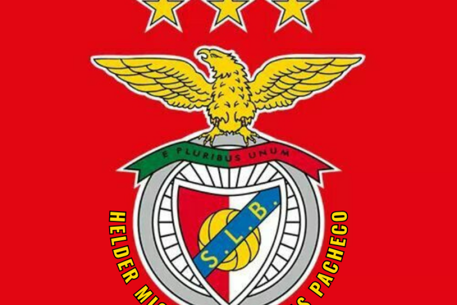 HELDER MIGUEL DE FREITAS PACHECO