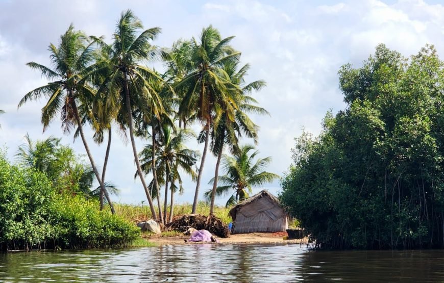 VODOUN DAYS : BENIN