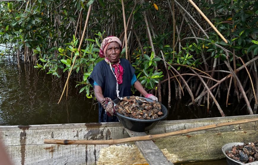 VODOUN DAYS : BENIN