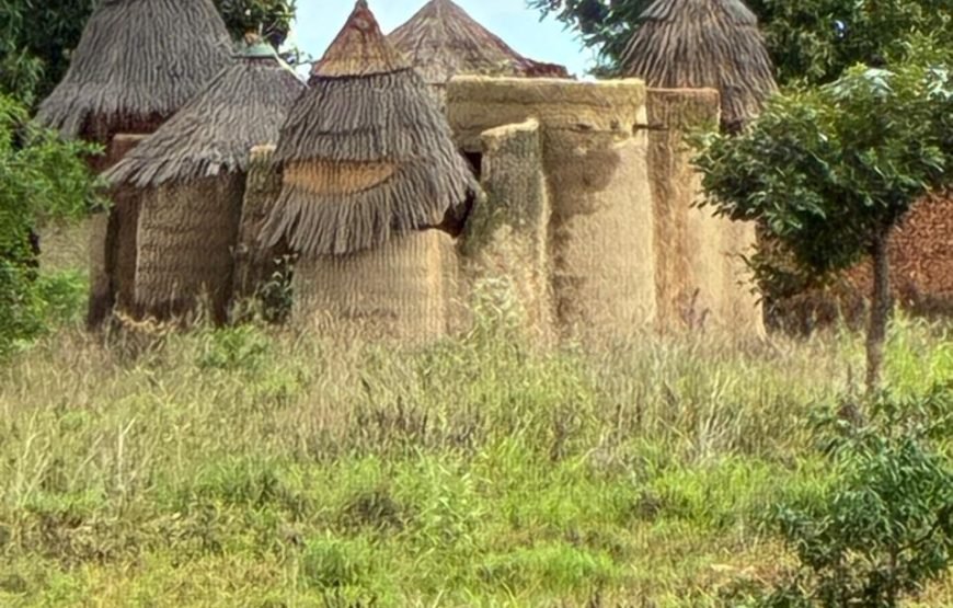 VODOUN DAYS : BENIN