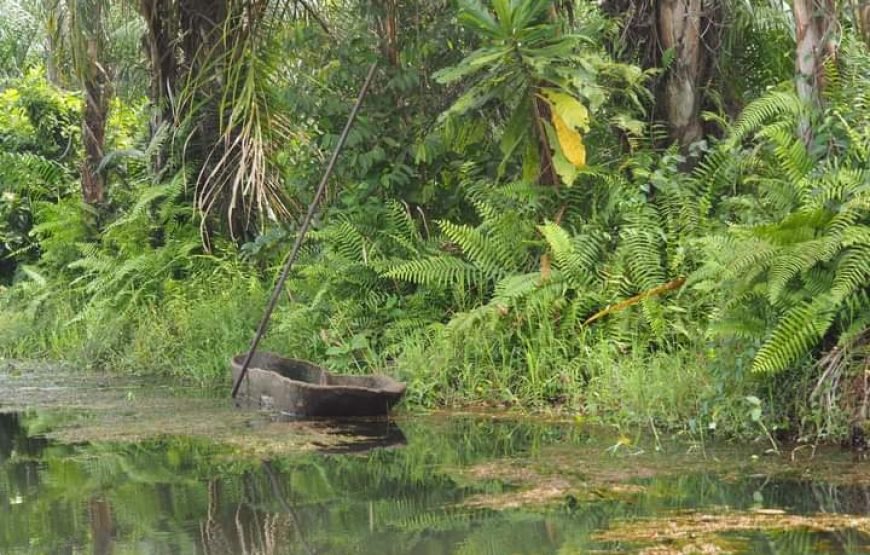 VODOUN DAYS : BENIN