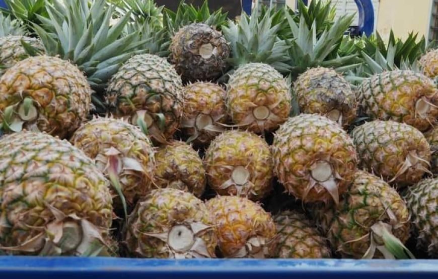 VODOUN DAYS : BENIN