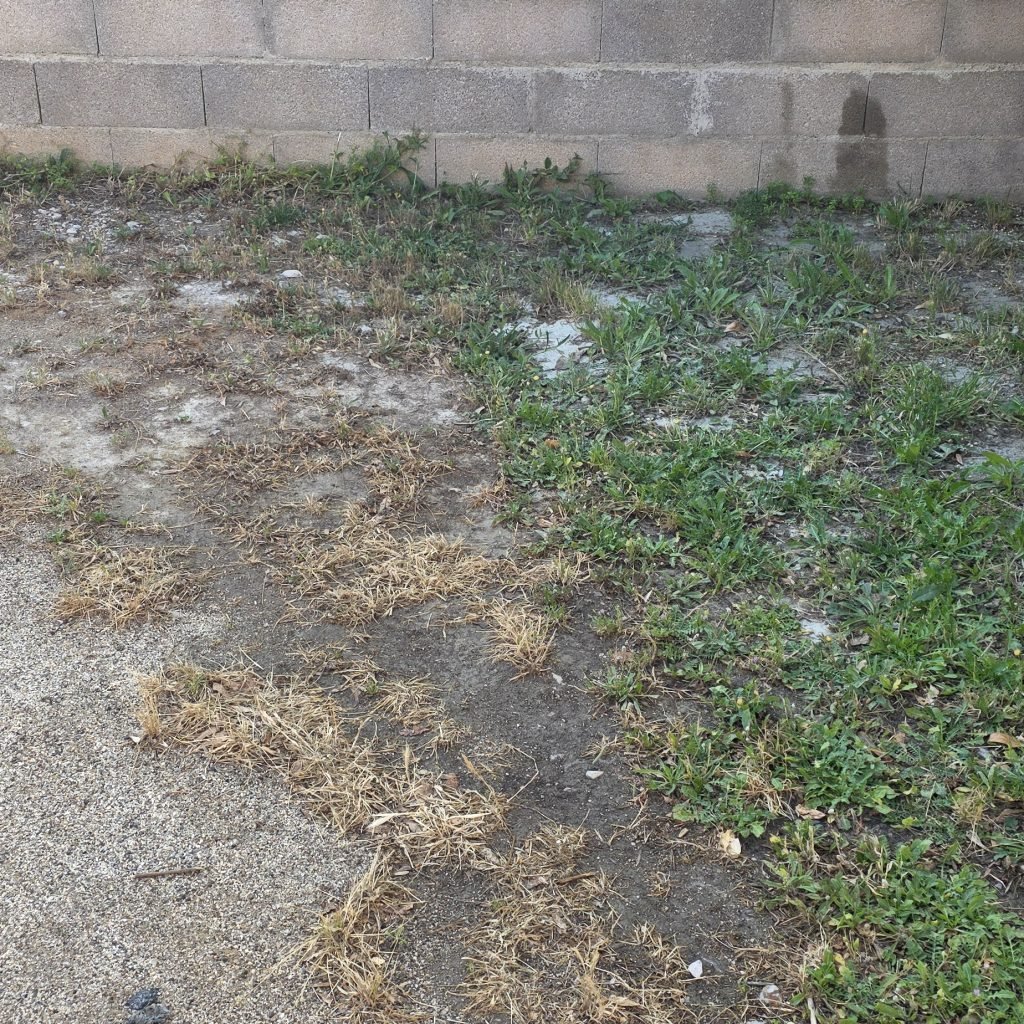 Aiguamar : logement 4 pers au Barcarès, sud de la France, village de Noël et plage à pied